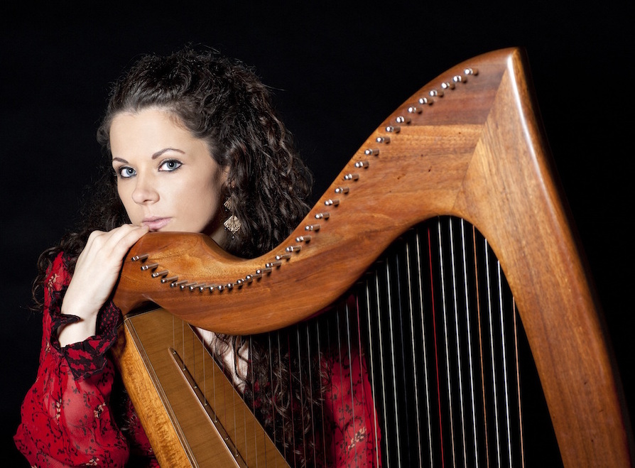 Will 2016 be a Turning Point for the Irish Harp?