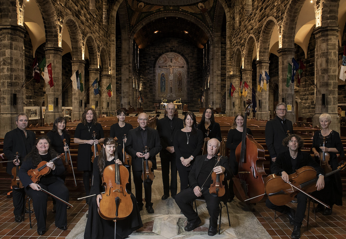 Luminosa Orchestra Launches &#039;Music for Trees&#039; Climate Initiative with Reforest Nation 