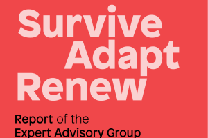 Arts Council Publishes Report of Advisory Group on Covid-19 and the Arts