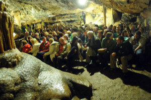 Acts Announced for the Mitchelstown Caves