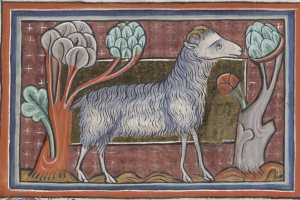Spenser’s Real Sheep - An illustrated talk by  Professor Andrew Hadfield