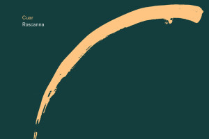Neil Ó Loclainn&#039;s Cuar - Roscanna Album launch