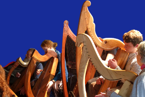 Early Irish Harp Discovery Day