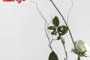 Sanju - New Album from Flook