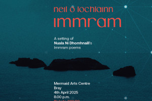 Neil Ó Lochlainn&#039;s Immram