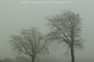 Black Glass Ensemble: Arise From The Twilight