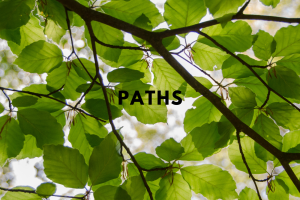 Luchra – Paths