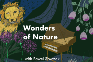 Wonders of Nature, harpsichord recital by Pawel Siwczak