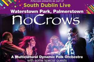 SDL event in Waterstown Park, Palmerstown - NoCrows