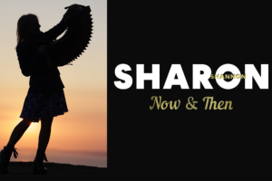 Sharon Shannon - Now and Then Tour