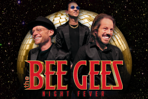The Bee Gees - Night Fever