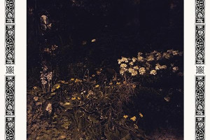 Sarah Davachi – Pale Bloom