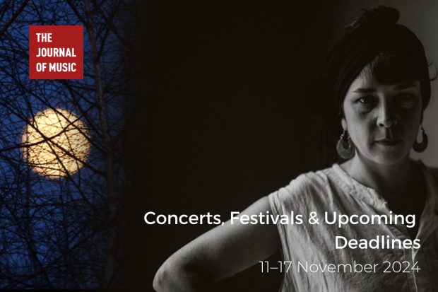 Concerts, Festivals &amp; Upcoming Deadlines (11–17 November 2024)