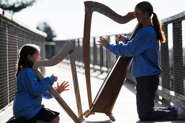 Harp Ireland Seeking New Chief Executive Officer
