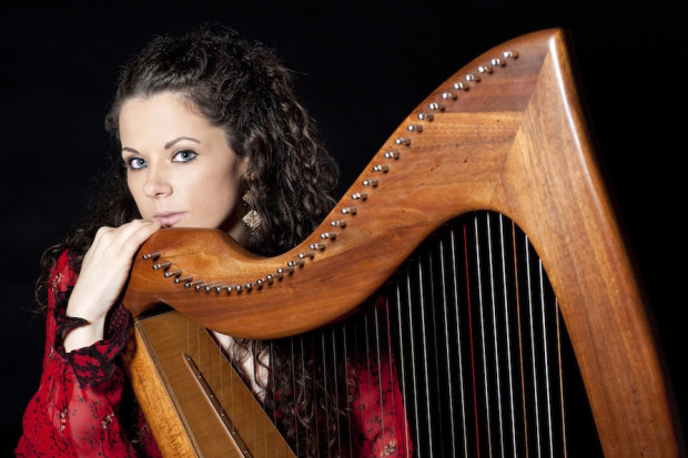 Will 2016 be a Turning Point for the Irish Harp?