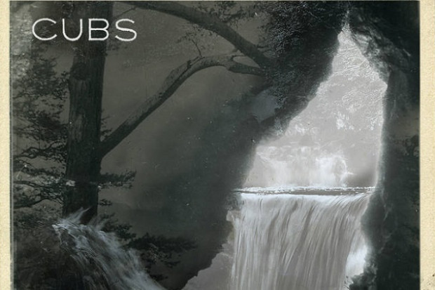 Cubs – Frozen Waterfall