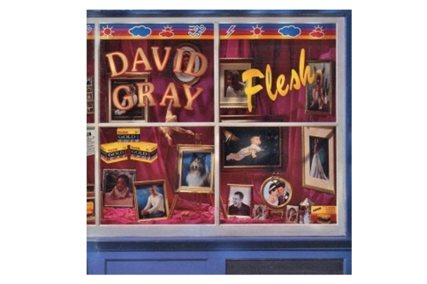 David Gray – Flesh