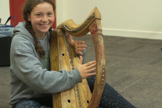 Early Irish Harp Discovery Days 2018  - Belfast