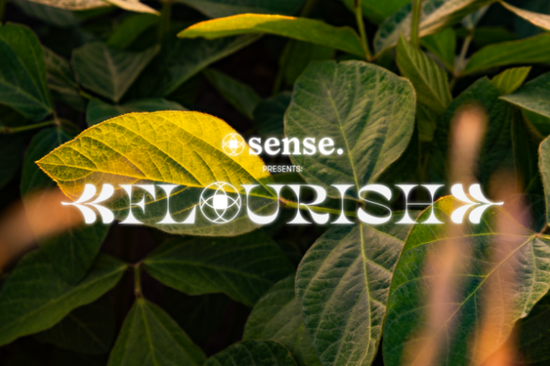 Flourish Series: Aby Coulibaly, Malaki, &amp; Lucy McWilliams