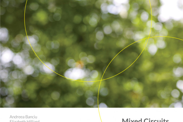 Mixed Circuits by David Bremner - album launch at  The Hugh Lane Gallery, Dublin, 12pm on Sunday December 11th, 2022