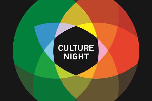 Coordination &amp; Development Services for Culture Night 2016