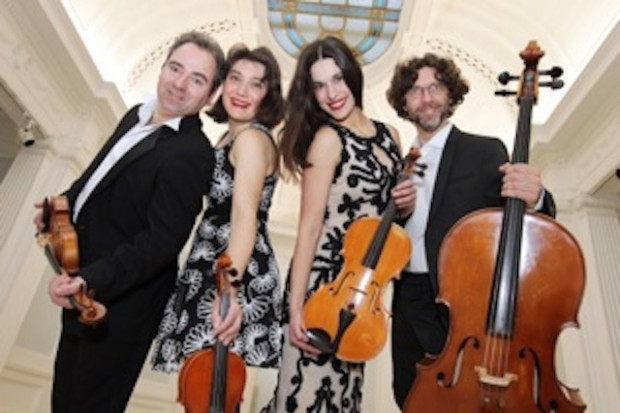 A Stroll in the Gardens with Strings attached! A Stroll in the Gardens with Strings attached!