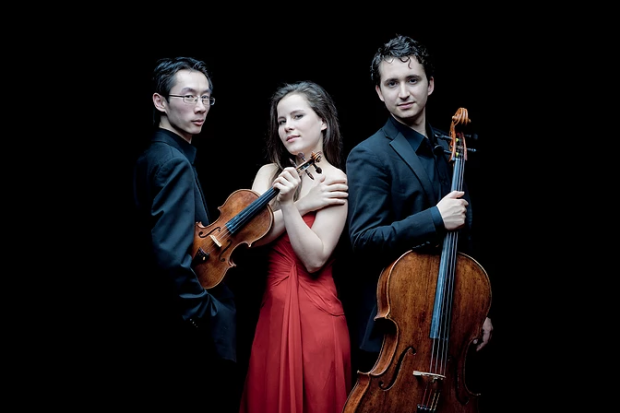 Amatis Piano Trio presented by Music Network