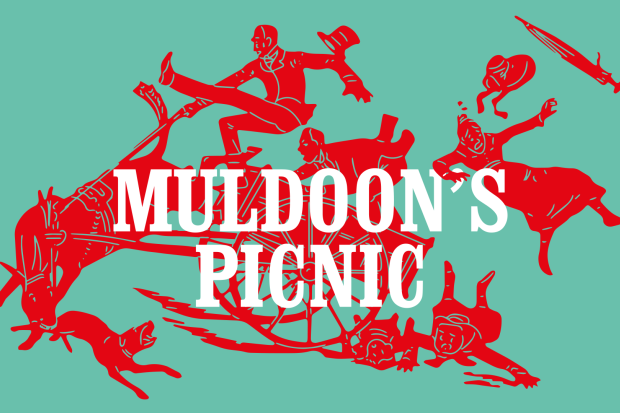Muldoon&#039;s Picnic