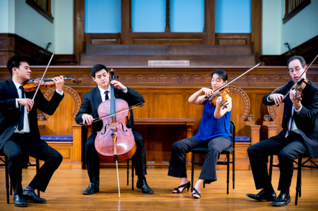 Telegraph Quartet Performs Virtual Concert Presented by Music in Corrales