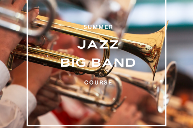 Summer Jazz Big Band Course at Newpark Academy of Music
