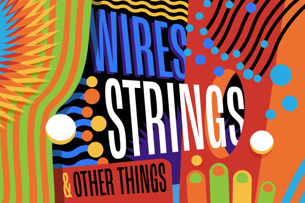 Wires, Strings & Other Things Wires, Strings & Other Things